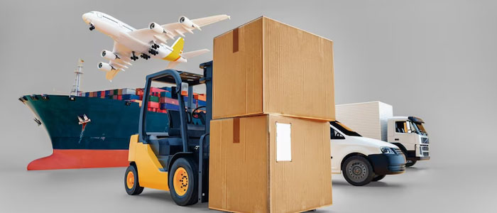 About Amani Quick Delivery (T) Ltd